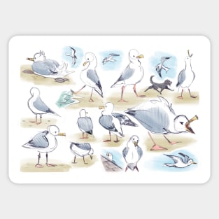 Seagull studies Sticker